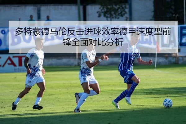 img_1780503120446_781_0_123.jpg（leyu）